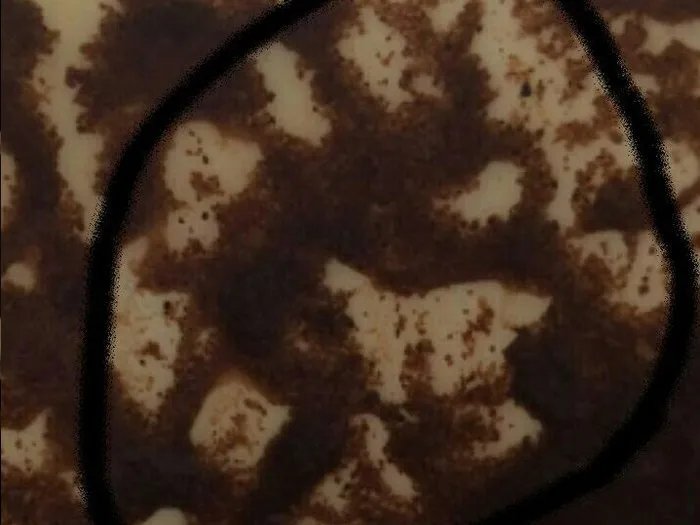 Запись на прием к гадалке в Усть-Лабинске